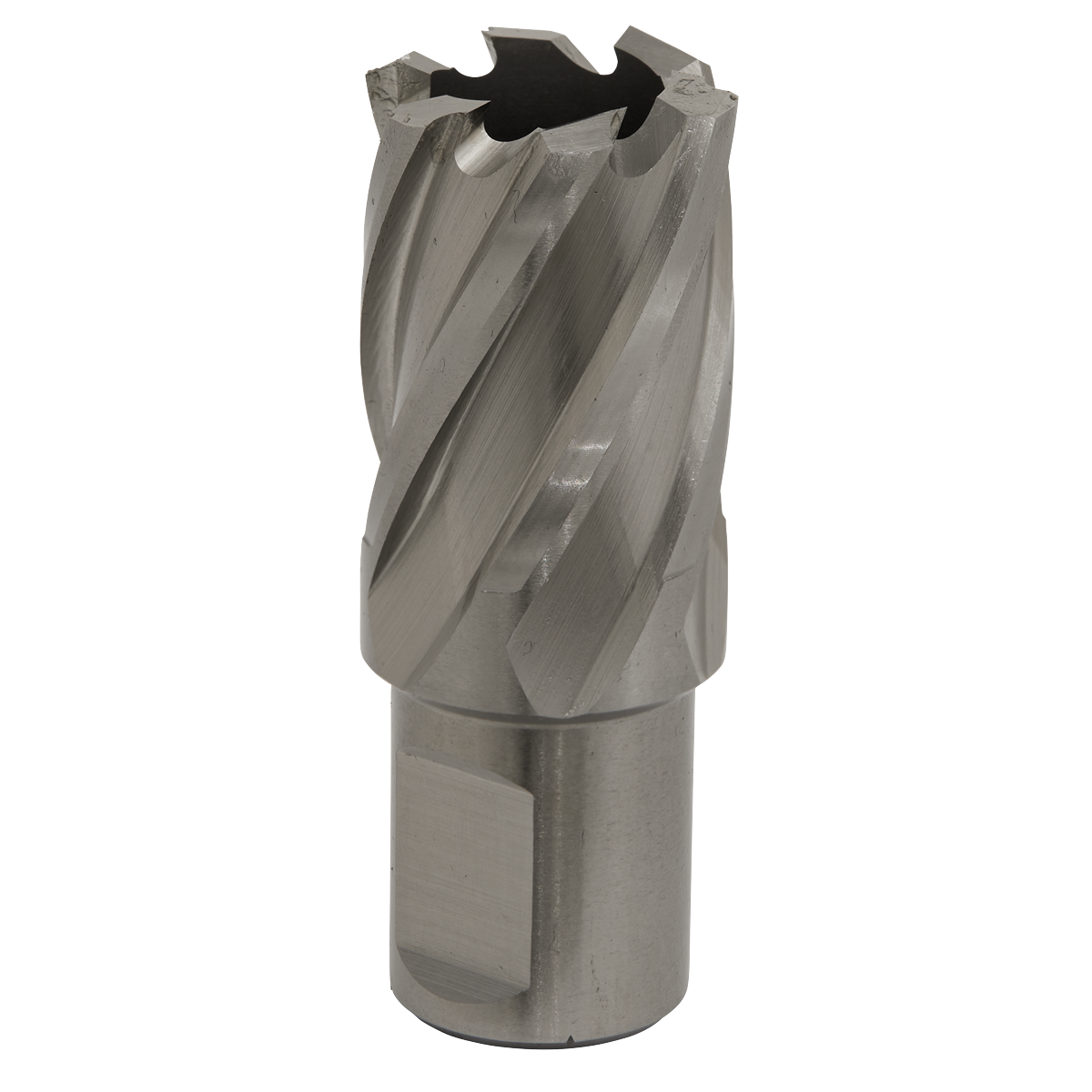 Worksafe® 22mm HSS Mag Drill Bit Cut Depth 25mm