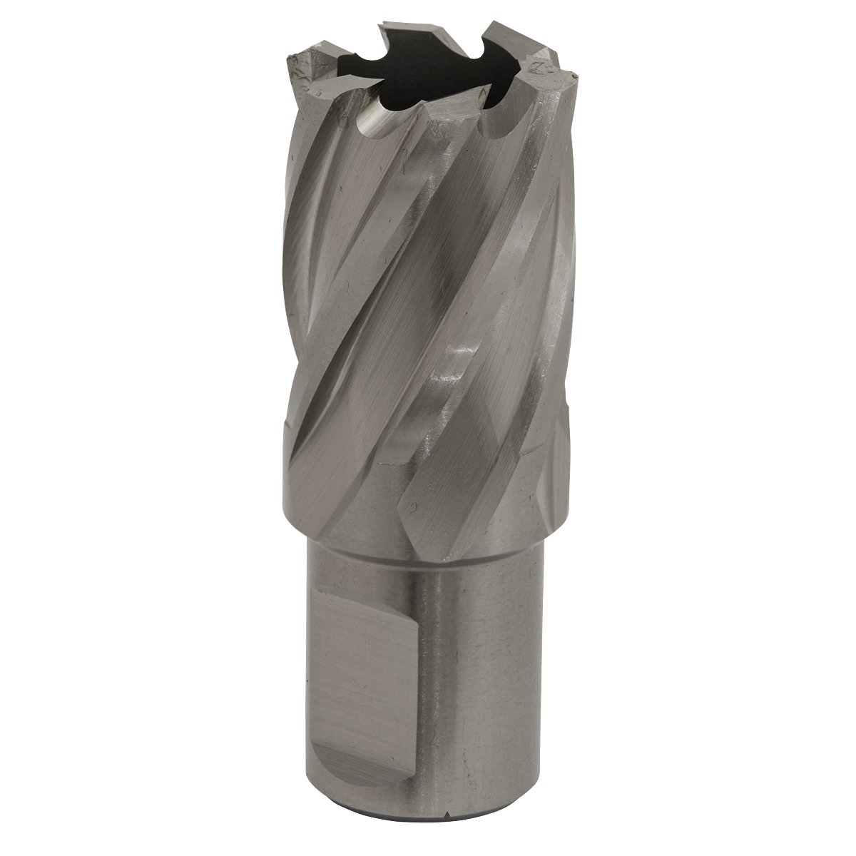 Worksafe® 23mm HSS Mag Drill Bit Cut Depth 25mm