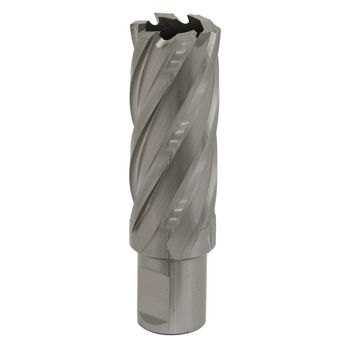 Worksafe® 24mm HSS Mag Drill Bit Cut Depth 50mm