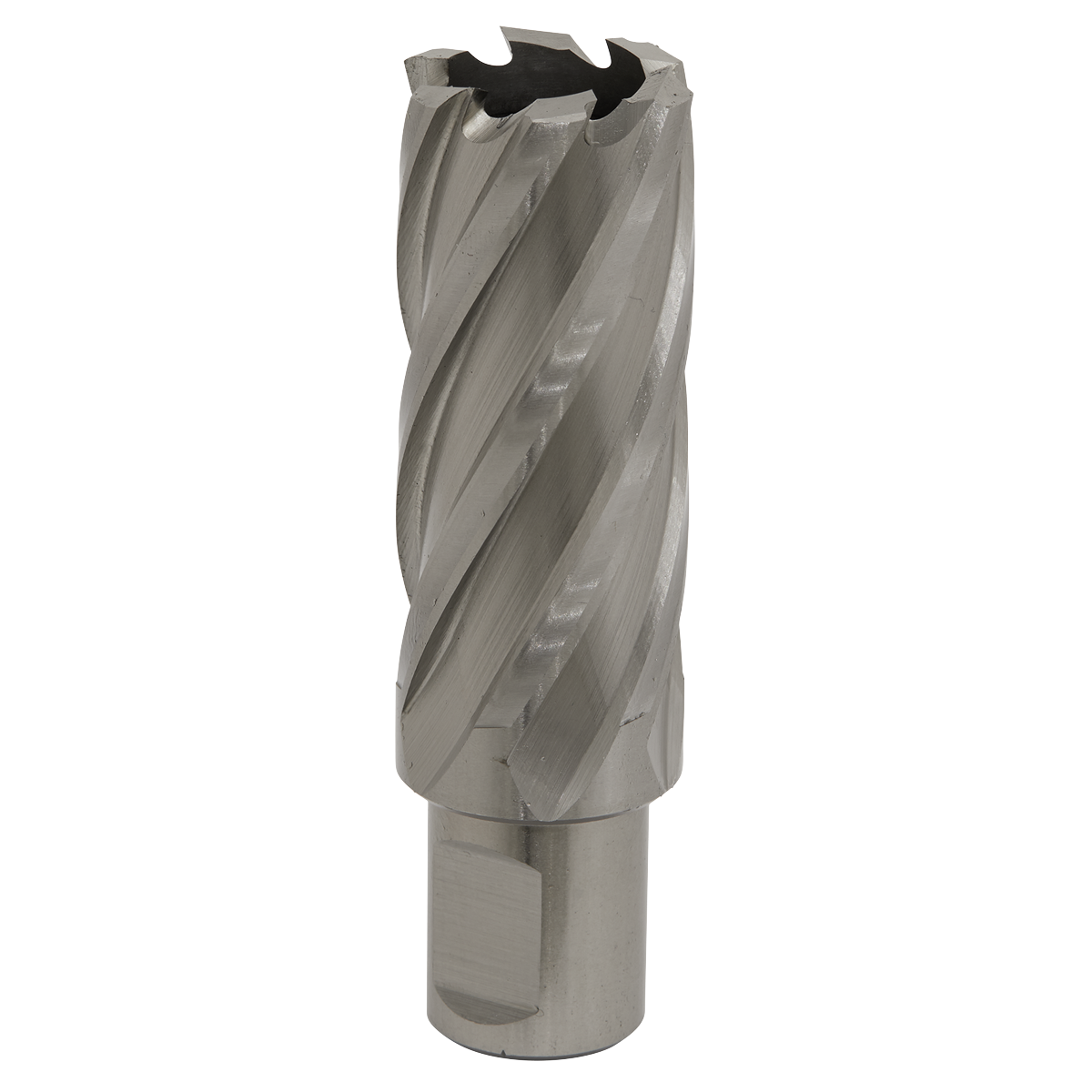 Worksafe® 25mm HSS Mag Drill Bit Cut Depth 50mm