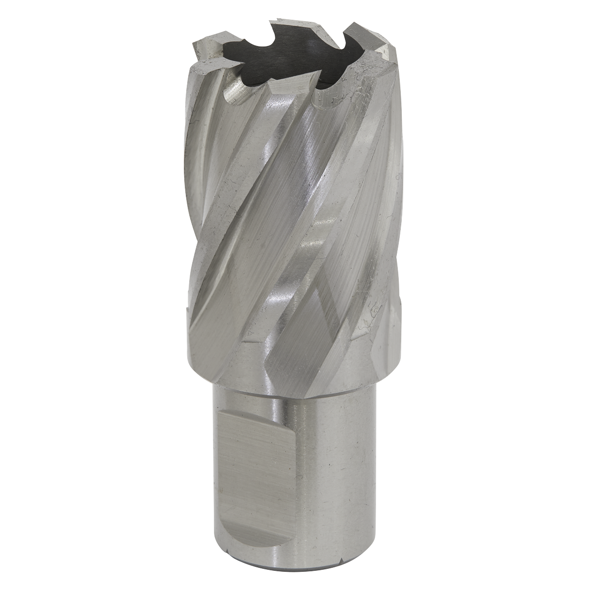 Worksafe® 25mm HSS Mag Drill Bit Cut Depth 25mm