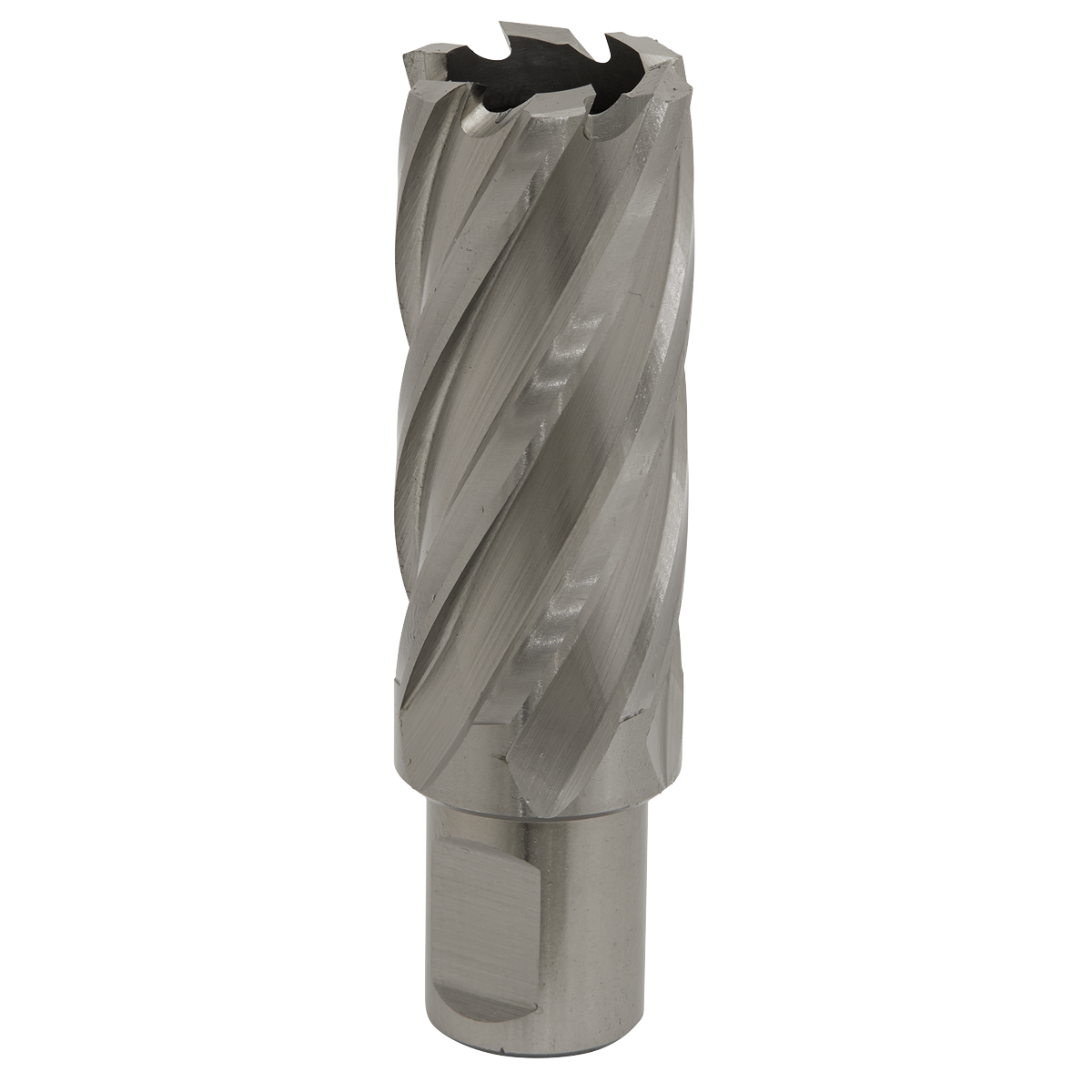 Worksafe® 26mm HSS Mag Drill Bit Cut Depth 50mm