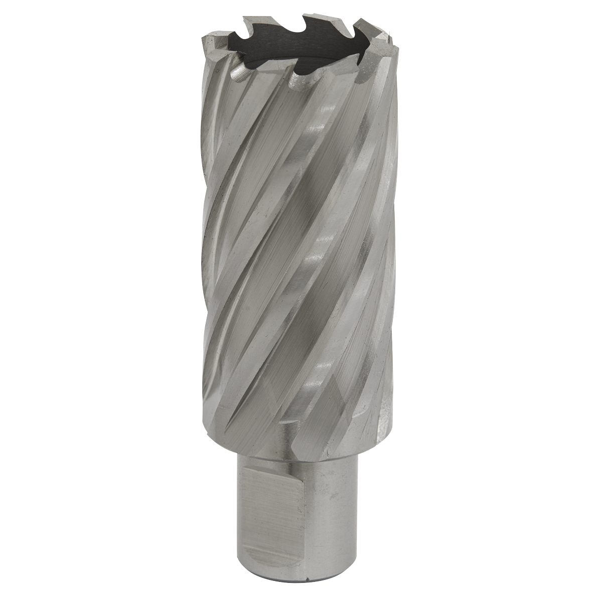 Worksafe® 28mm HSS Mag Drill Bit Cut Depth 50mm