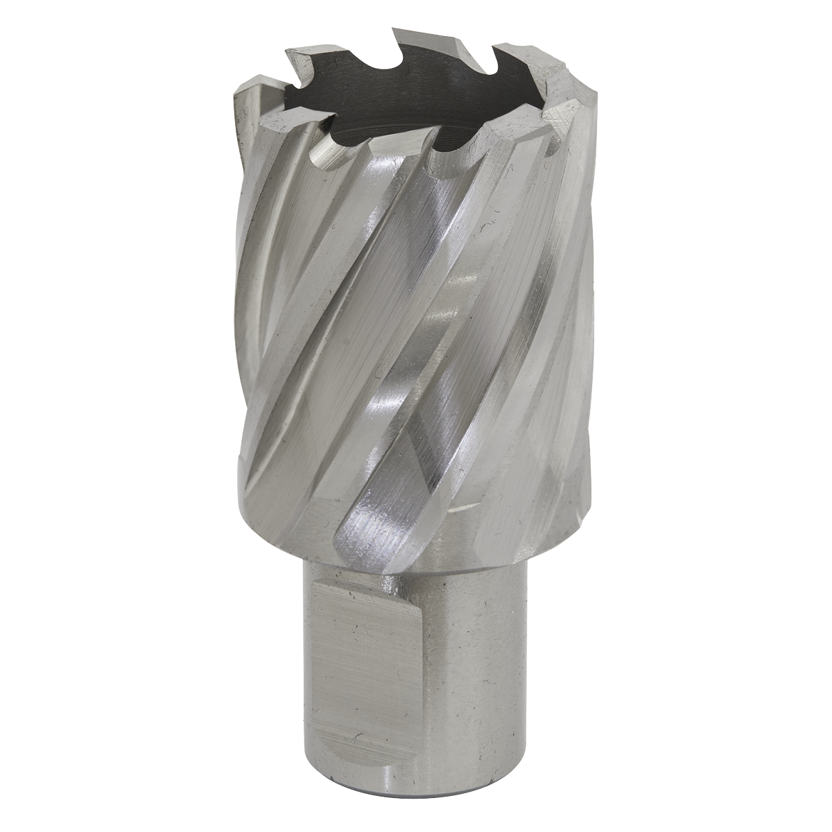 Worksafe® 29mm HSS Mag Drill Bit Cut Depth 25mm