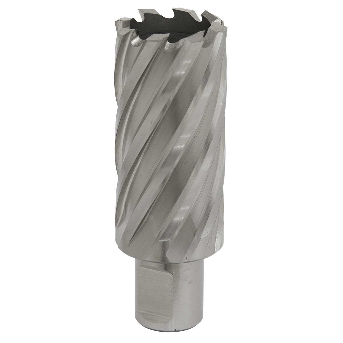 Worksafe® 30mm HSS Mag Drill Bit Cut Depth 50mm