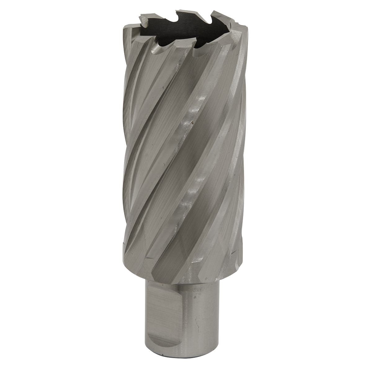 Worksafe® 31mm HSS Mag Drill Bit Cut Depth 50mm