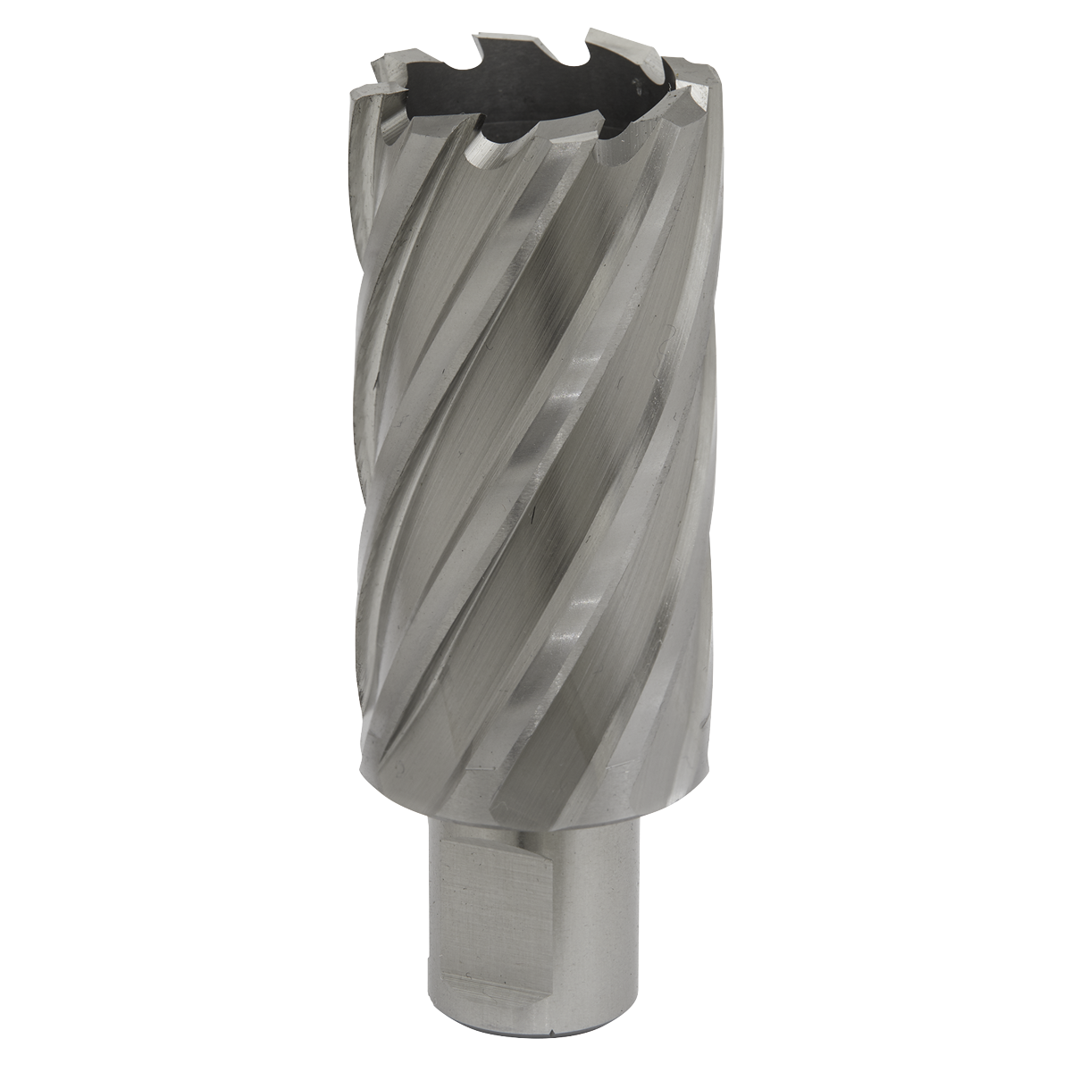 Worksafe® 32mm HSS Mag Drill Bit Cut Depth 50mm