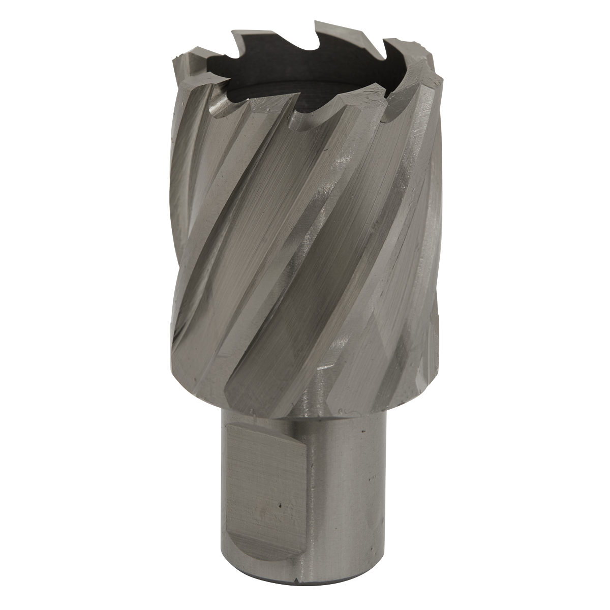Worksafe® 32mm HSS Mag Drill Bit Cut Depth 25mm