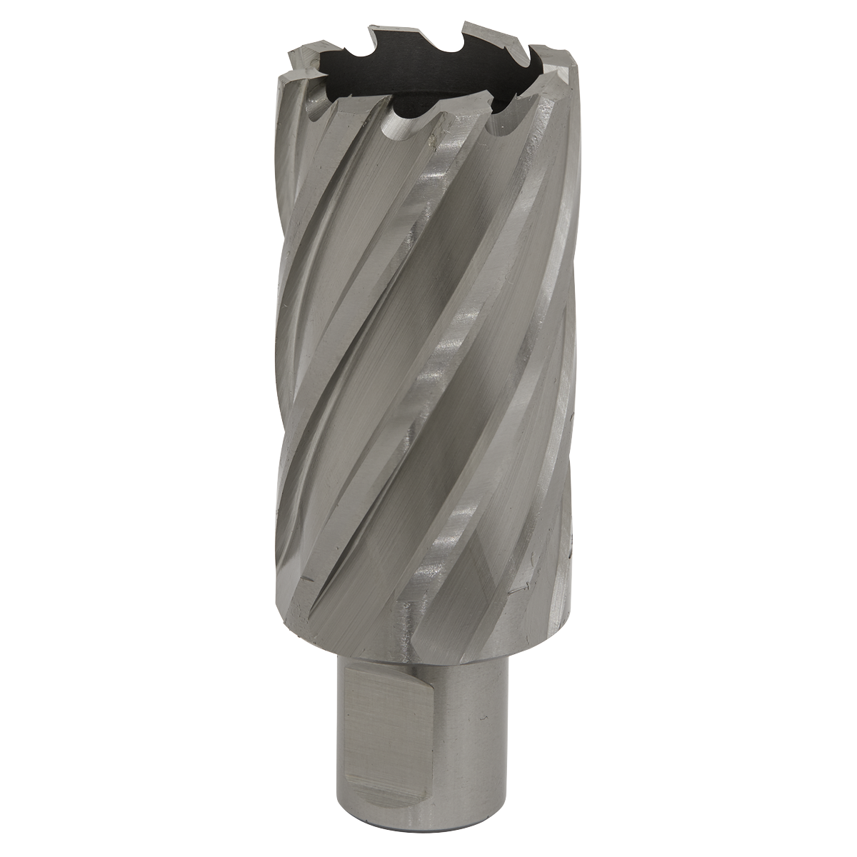 Worksafe® 33mm HSS Mag Drill Bit Cut Depth 50mm