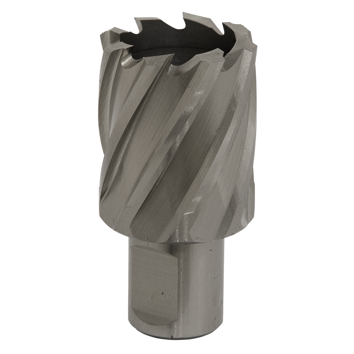 Worksafe® 33mm HSS Mag Drill Bit Cut Depth 25mm