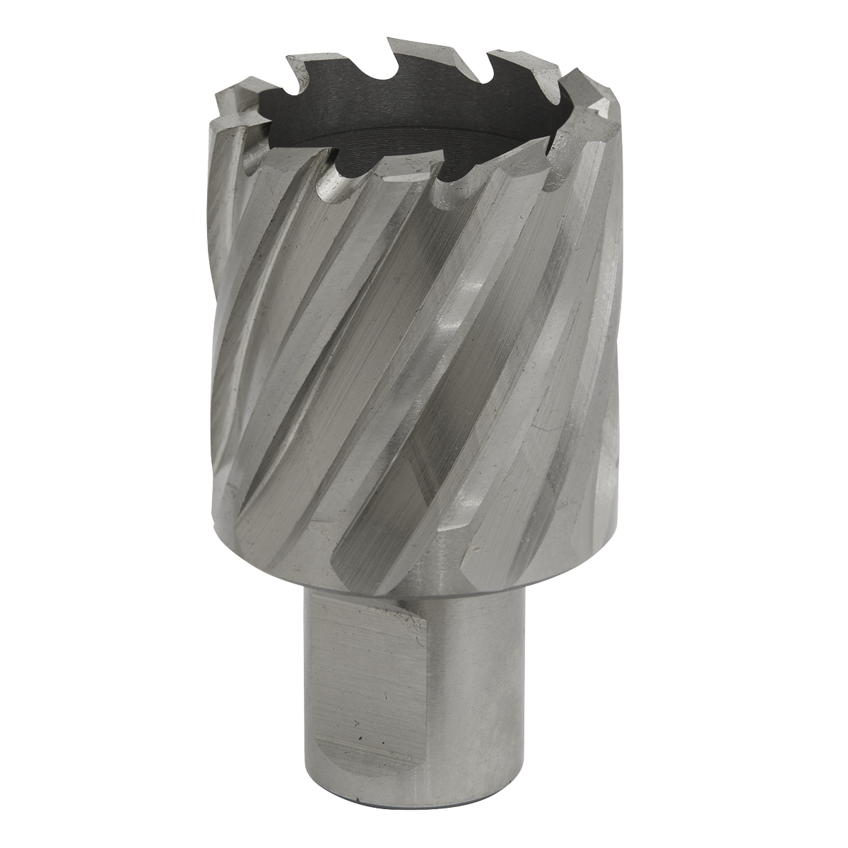 Worksafe® 34mm HSS Mag Drill Bit Cut Depth 25mm