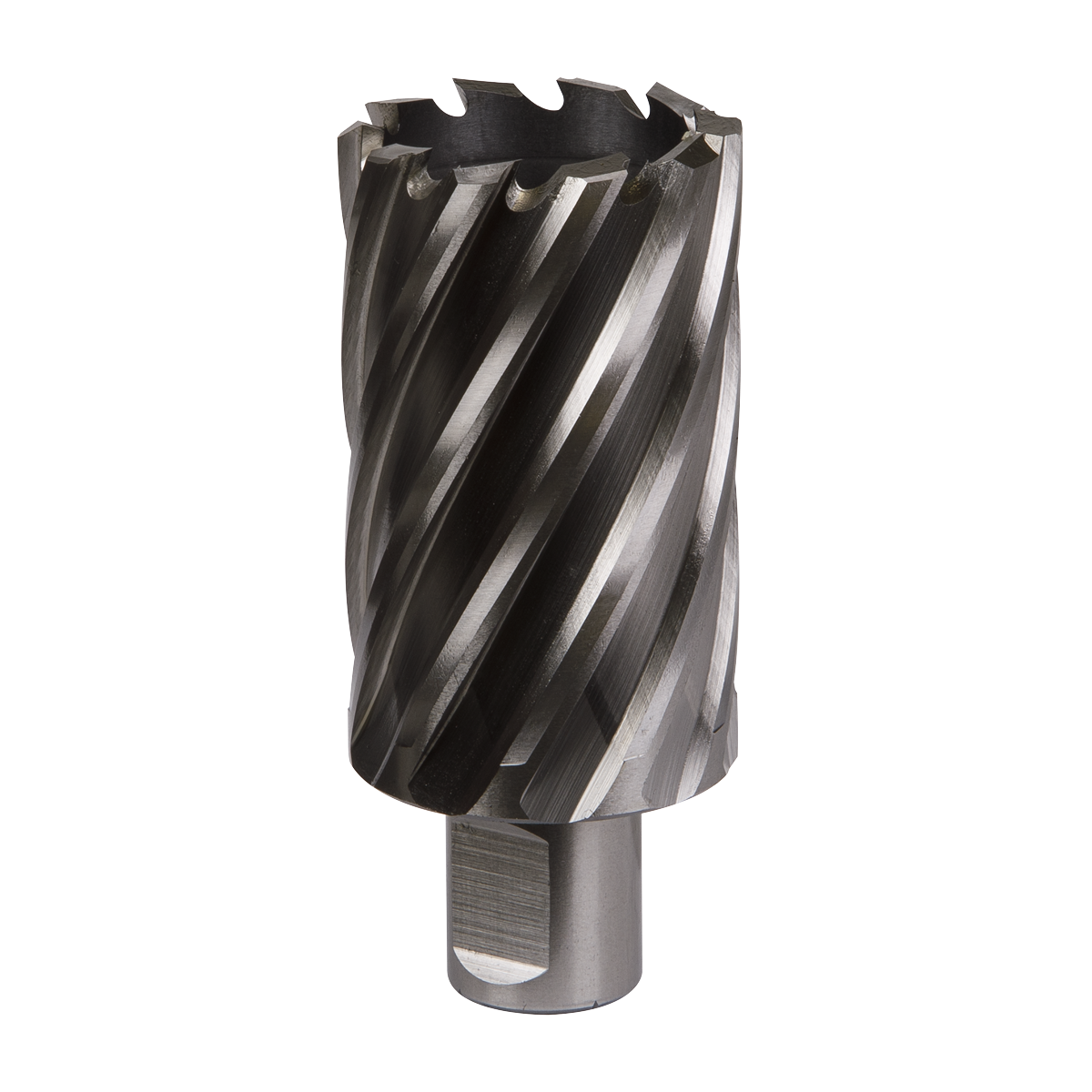 Worksafe® 38mm HSS Mag Drill Bit Cut Depth 50mm