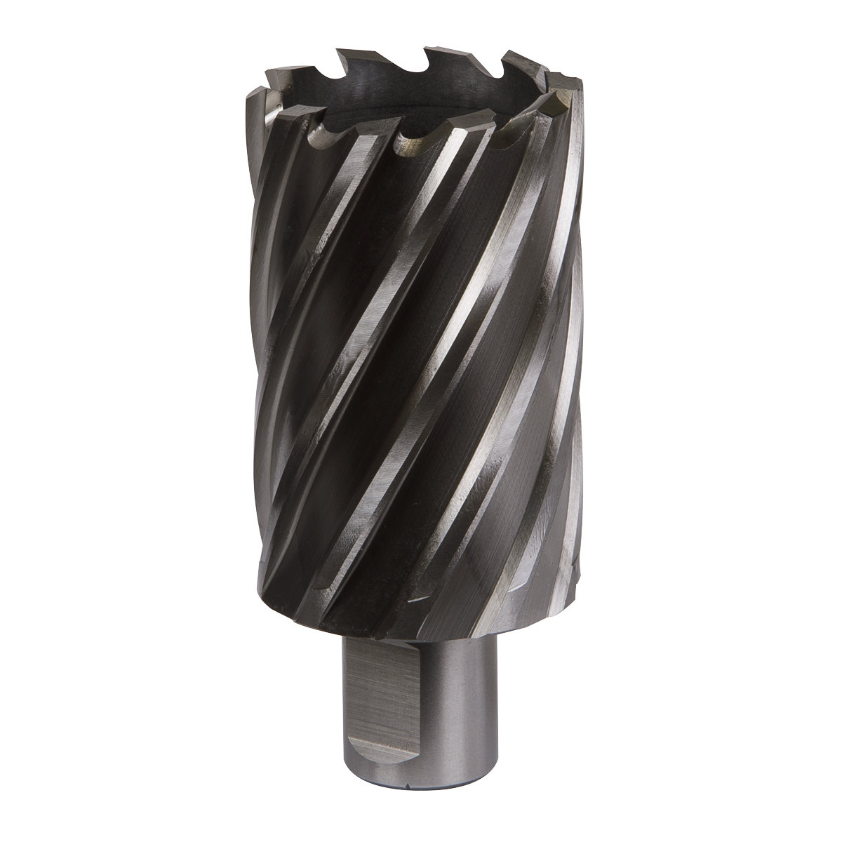Worksafe® 40mm HSS Mag Drill Bit Cut Depth 50mm