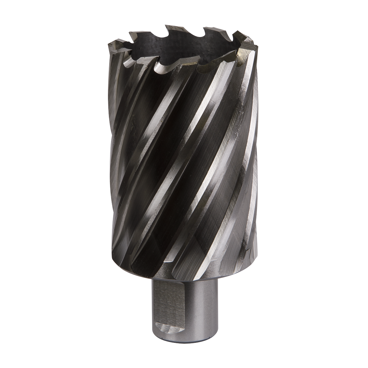 Worksafe® 42mm HSS Mag Drill Bit Cut Depth 50mm