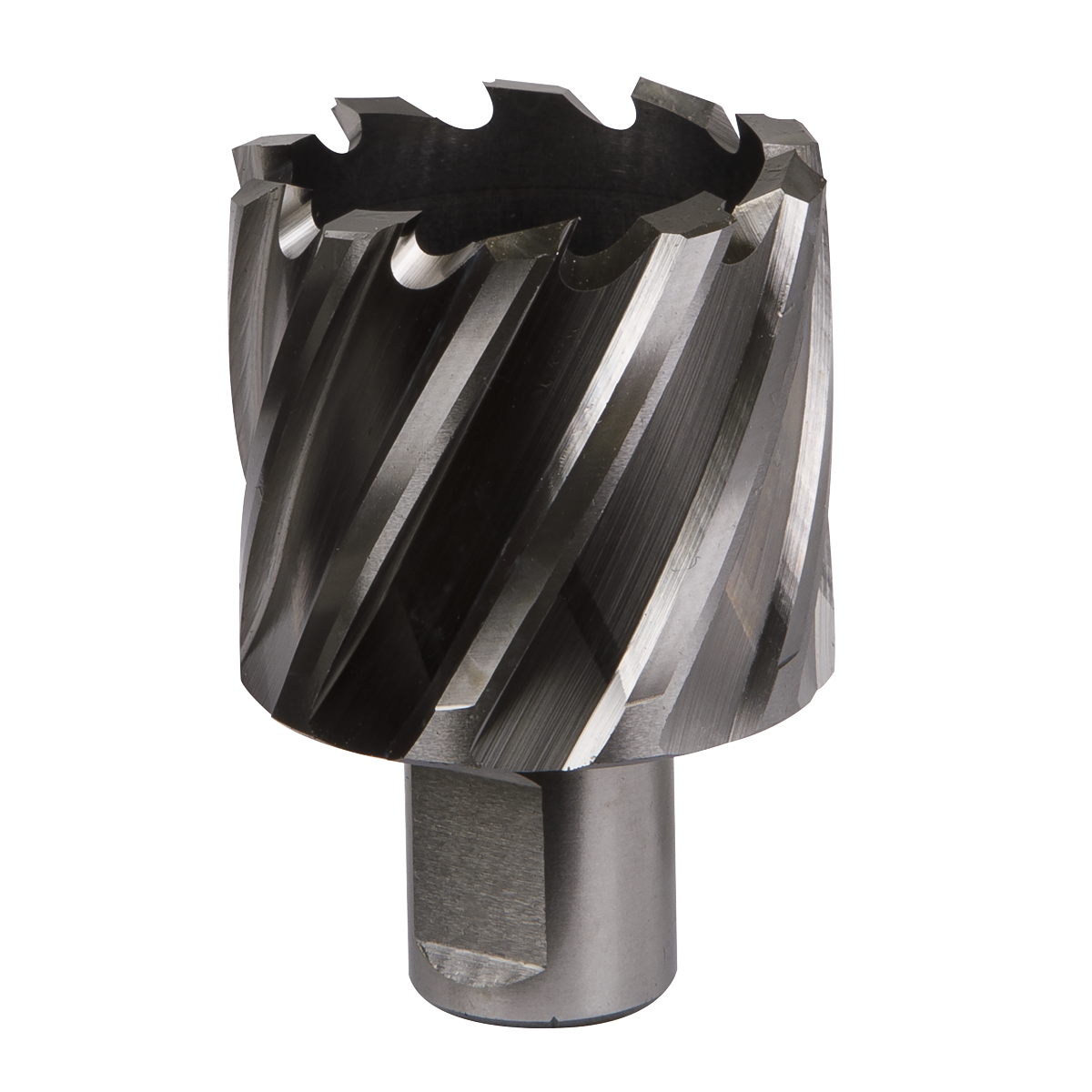 Worksafe® 42mm HSS Mag Drill Bit Cut Depth 25mm
