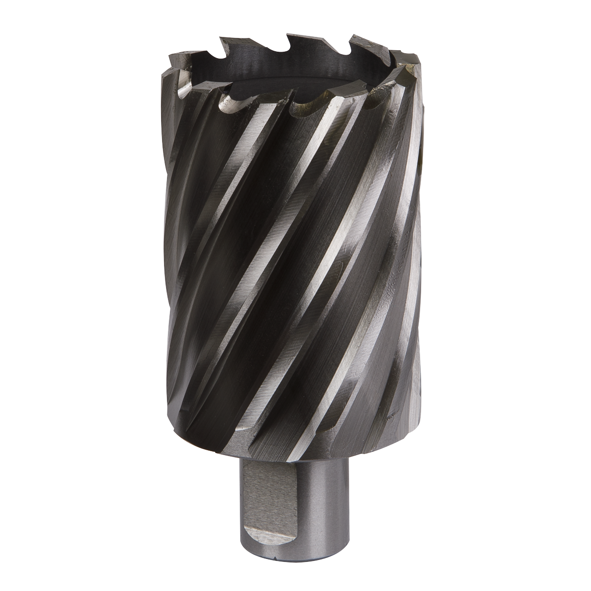 Worksafe® 44mm HSS Mag Drill Bit Cut Depth 50mm