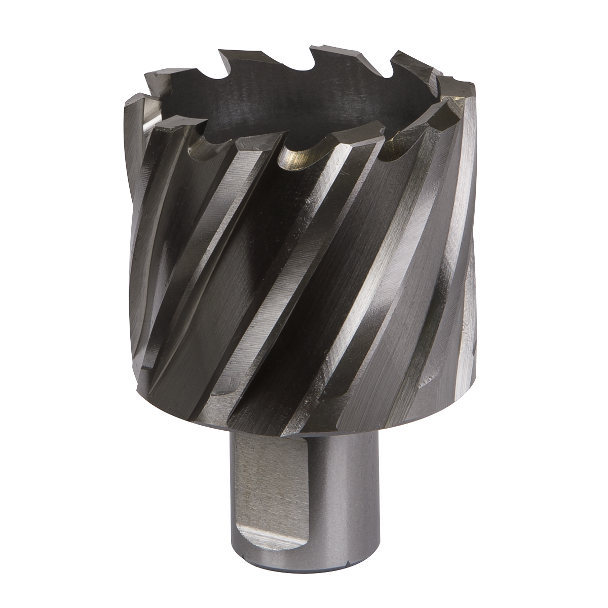 Worksafe® 44mm HSS Mag Drill Bit Cut Depth 25mm