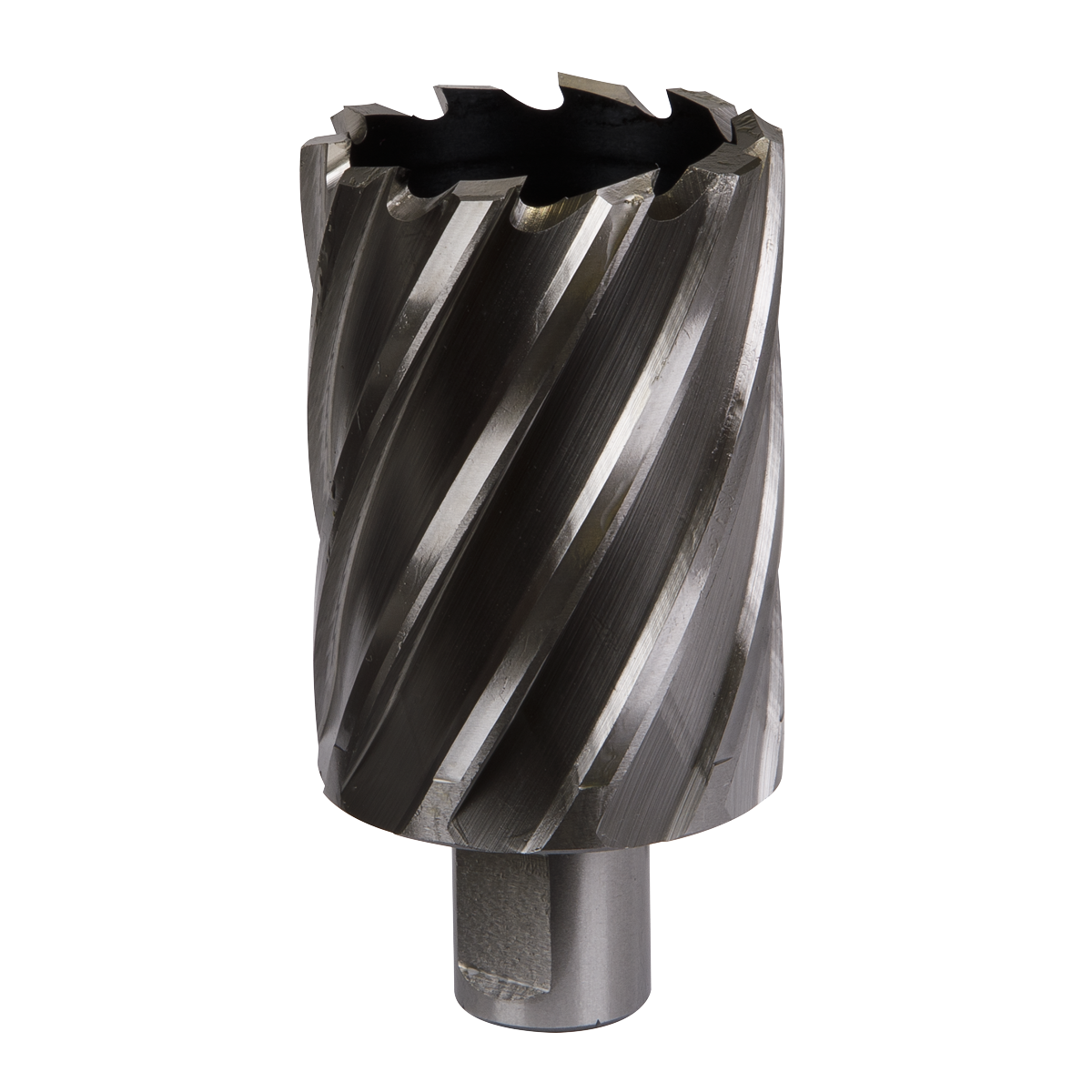 Worksafe® 45mm HSS Mag Drill Bit Cut Depth 50mm