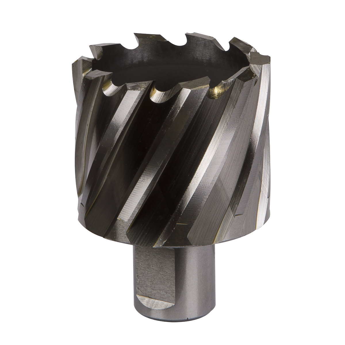 Worksafe® 45mm HSS Mag Drill Bit Cut Depth 25mm