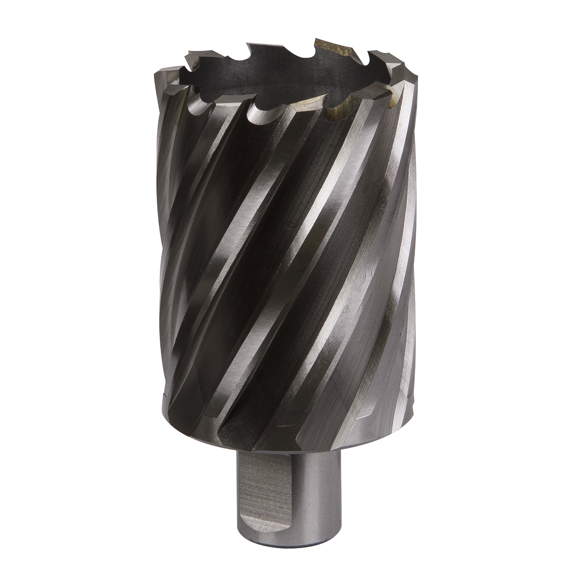 Worksafe® 46mm HSS Mag Drill Bit Cut Depth 50mm