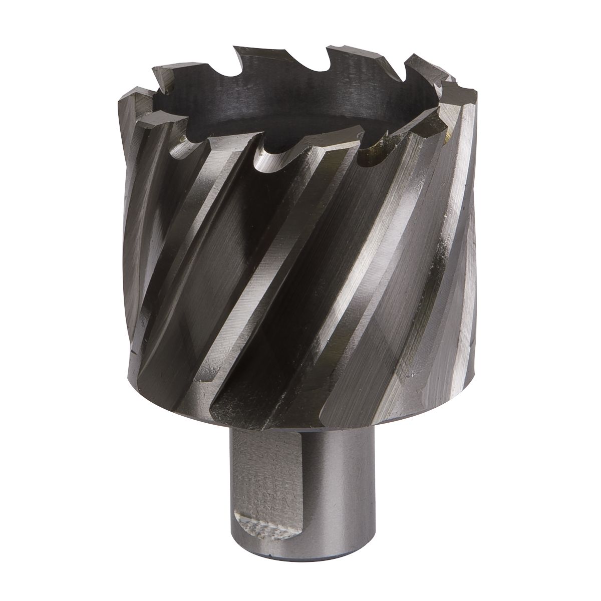 Worksafe® 46mm HSS Mag Drill Bit Cut Depth 25mm