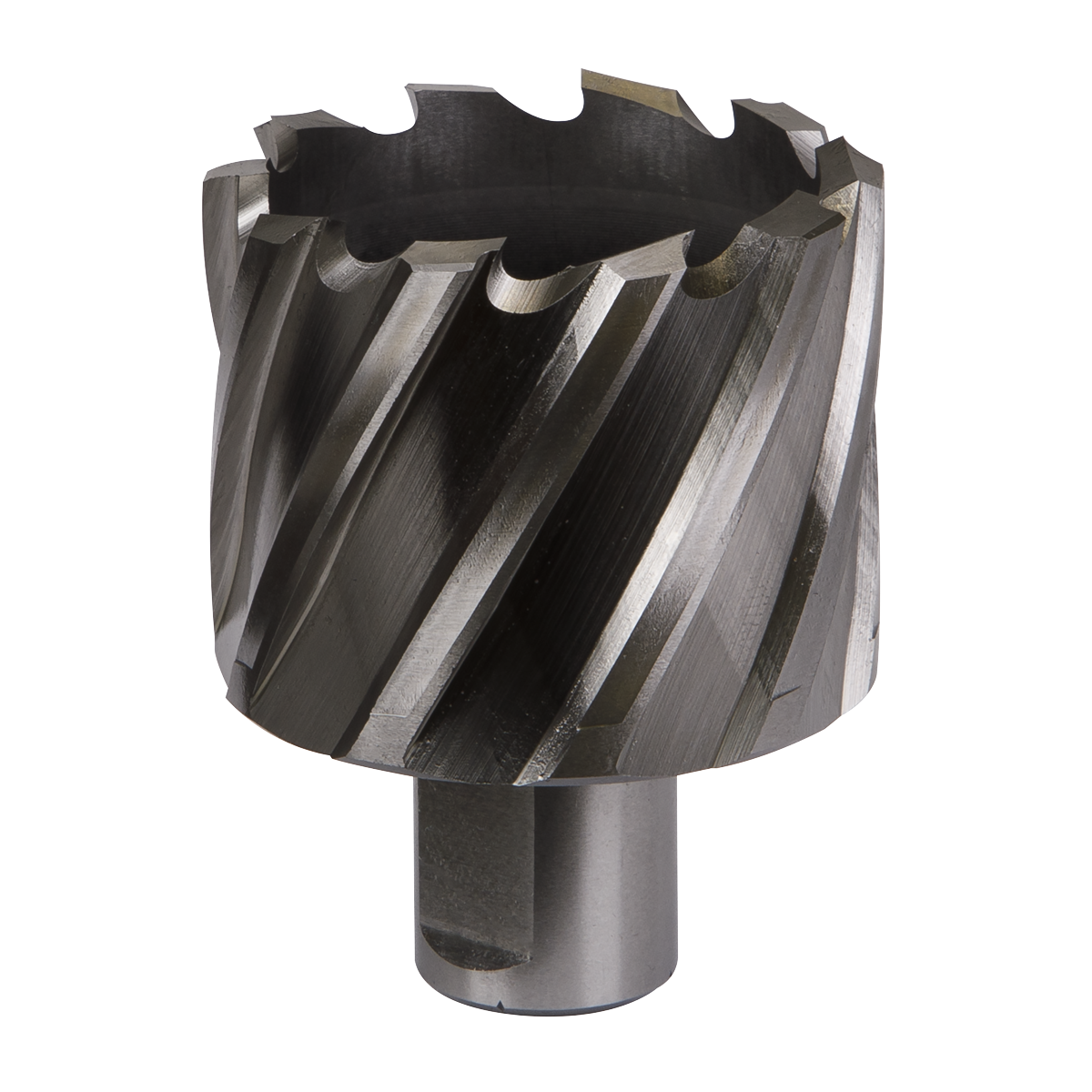 Worksafe® 48mm HSS Mag Drill Bit Cut Depth 25mm