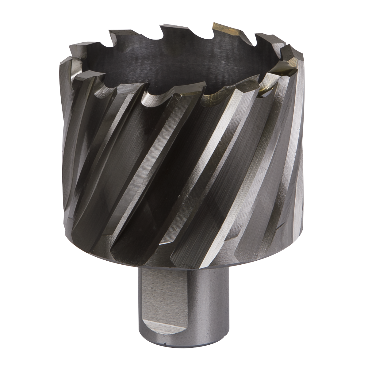 Worksafe® 50mm HSS Mag Drill Bit Cut Depth 25mm