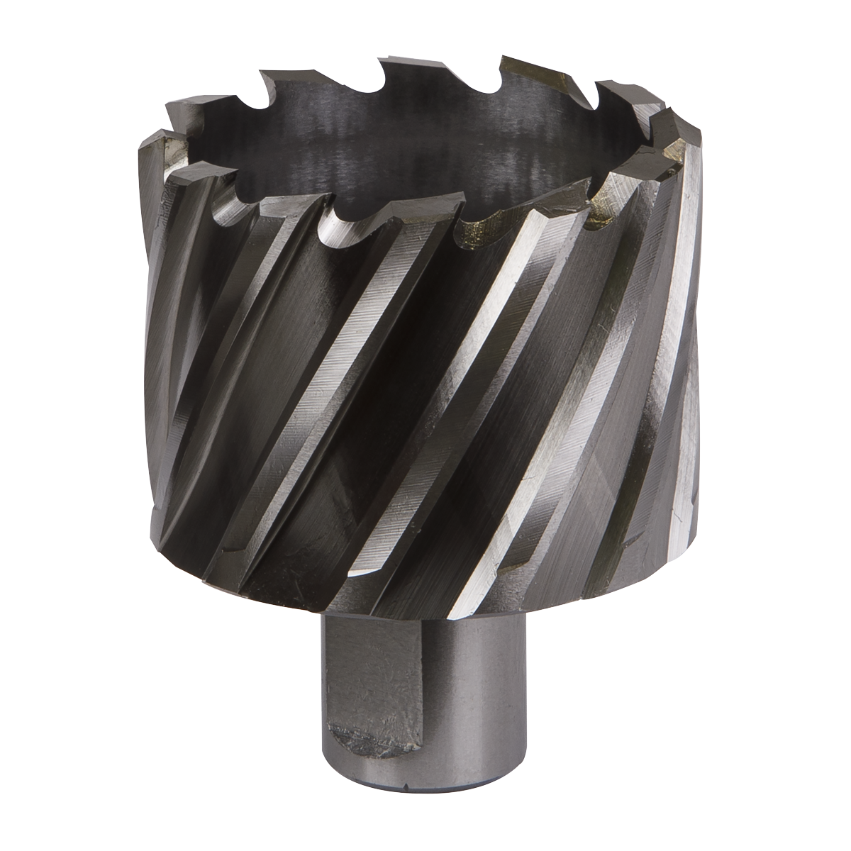 Worksafe® 51mm HSS Mag Drill Bit Cut Depth 25mm