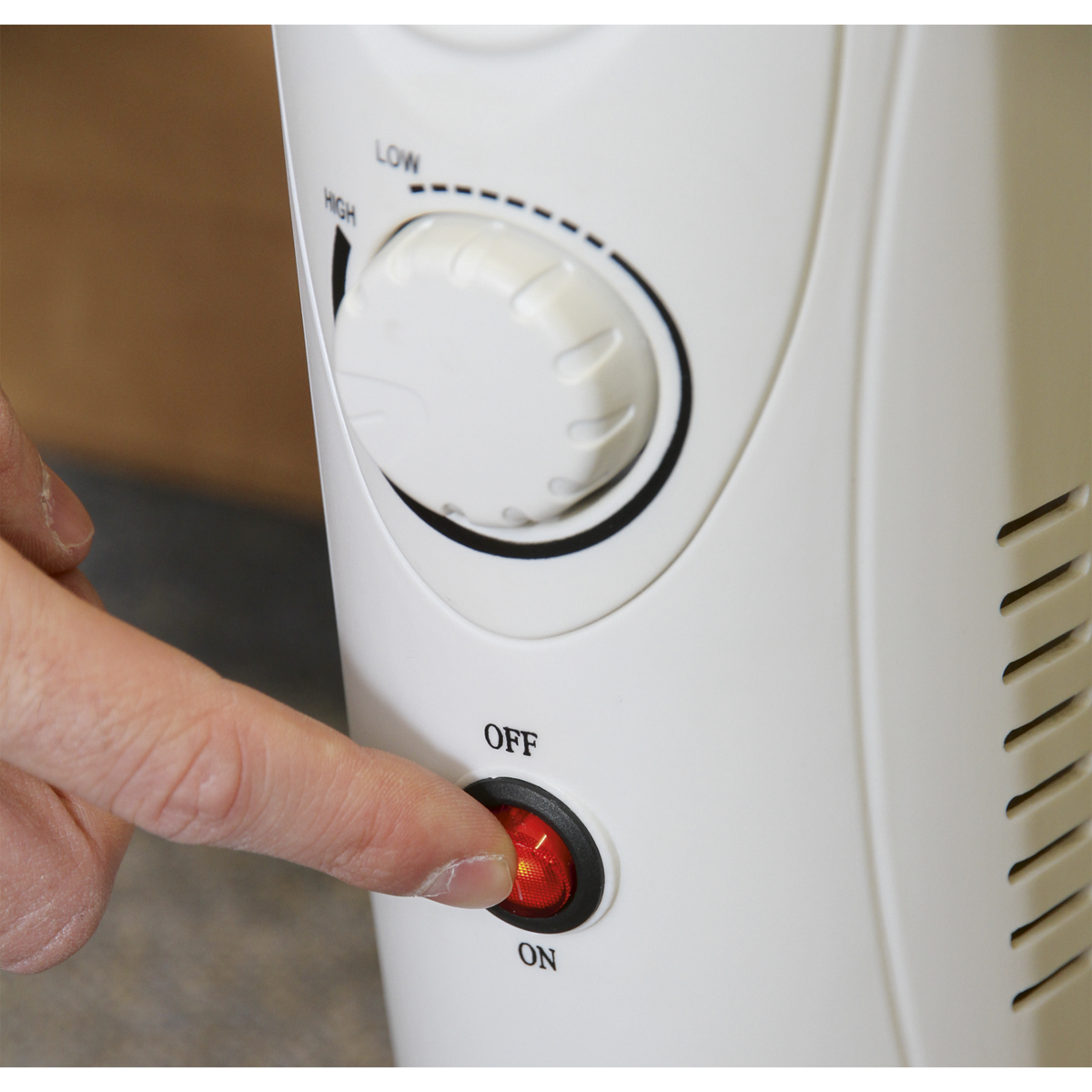 Oil-Filled Mini Radiator, 6-Element, 800W (RD800)