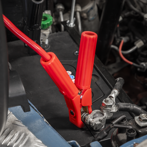 RoadStart® 12/24V Emergency 8-Cylinder Jump Starter 6L