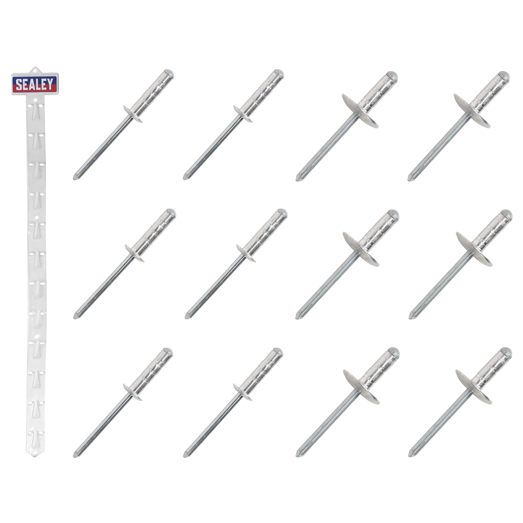 Clip Strip Deal - Aluminium Rivets