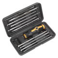 Siegen 20-in-1 Screwdriver Set