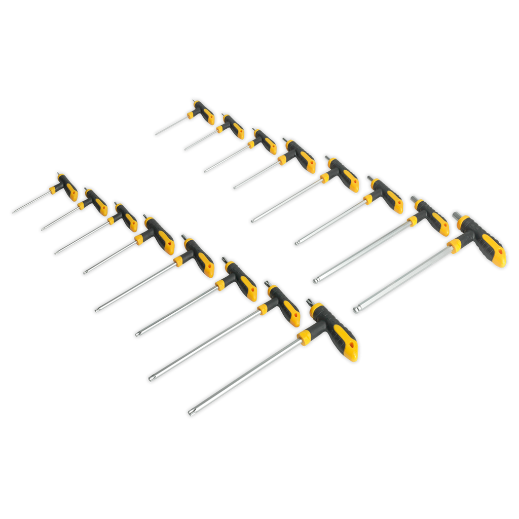 Siegen T-Handle TRX-Star* & Hex Key Set 16pc