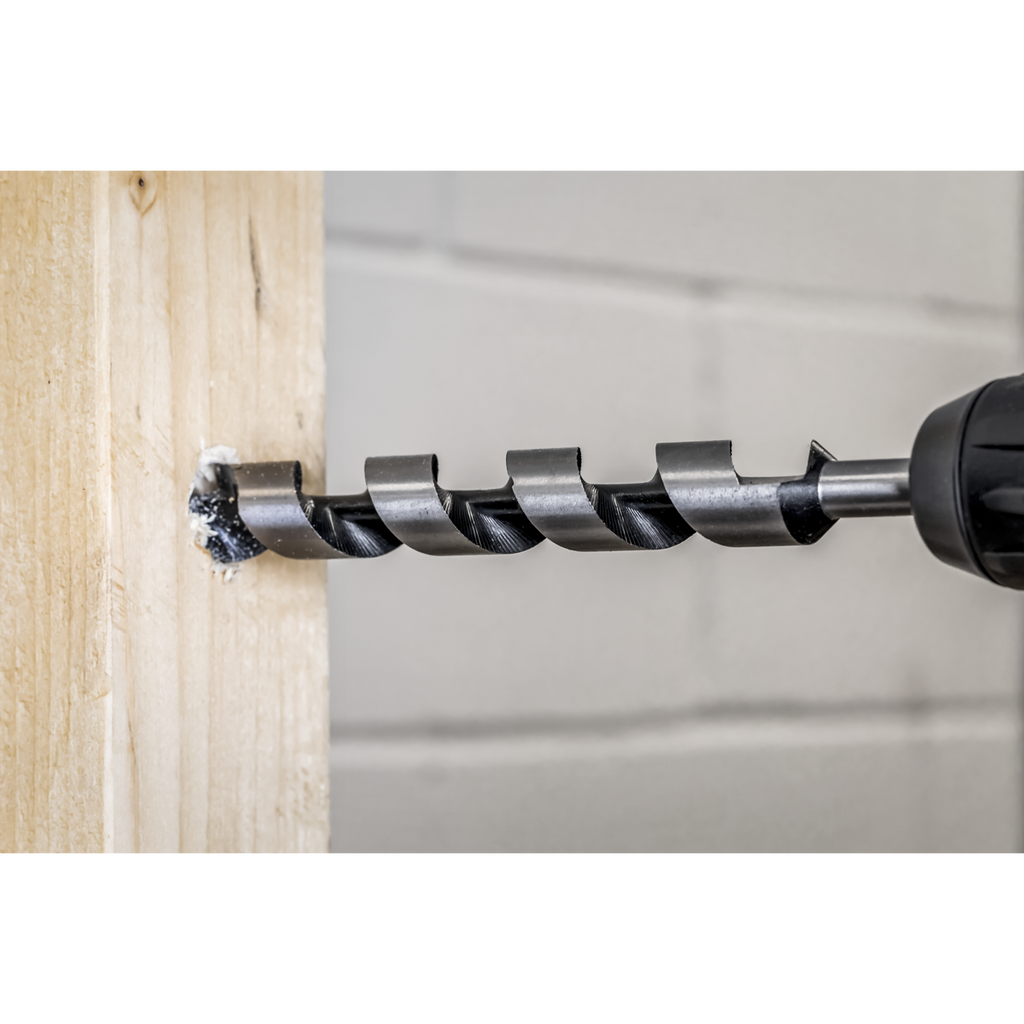 SDS Plus Auger Wood Drill Bit 19 x 225mm