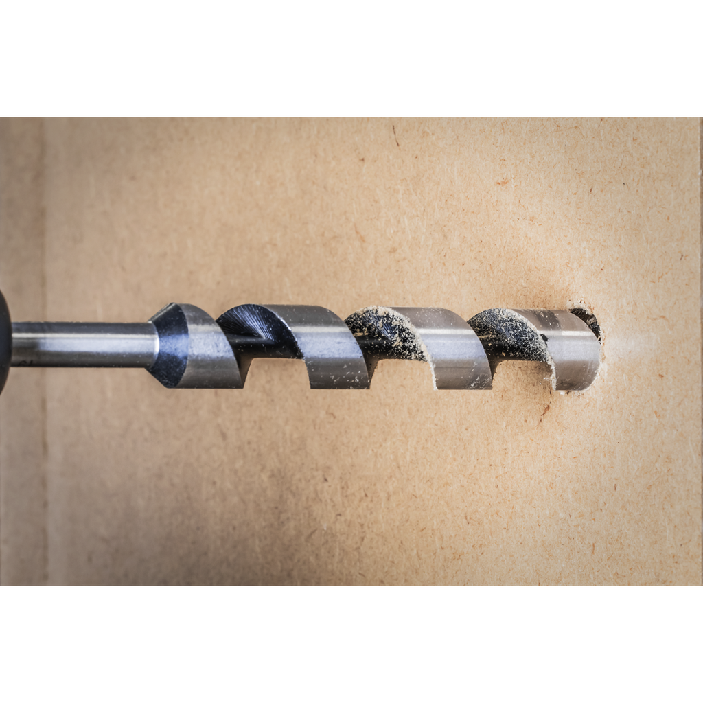 SDS Plus Auger Wood Drill Bit 19 x 225mm