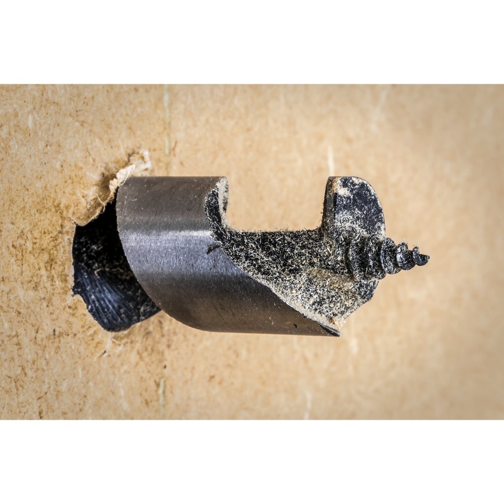 SDS Plus Auger Wood Drill Bit 19 x 225mm
