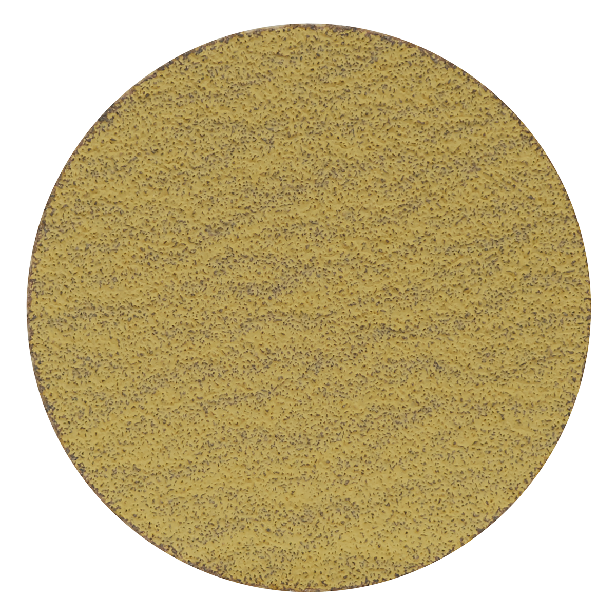 50mm Sanding Disc 80Grit - Pack of 10