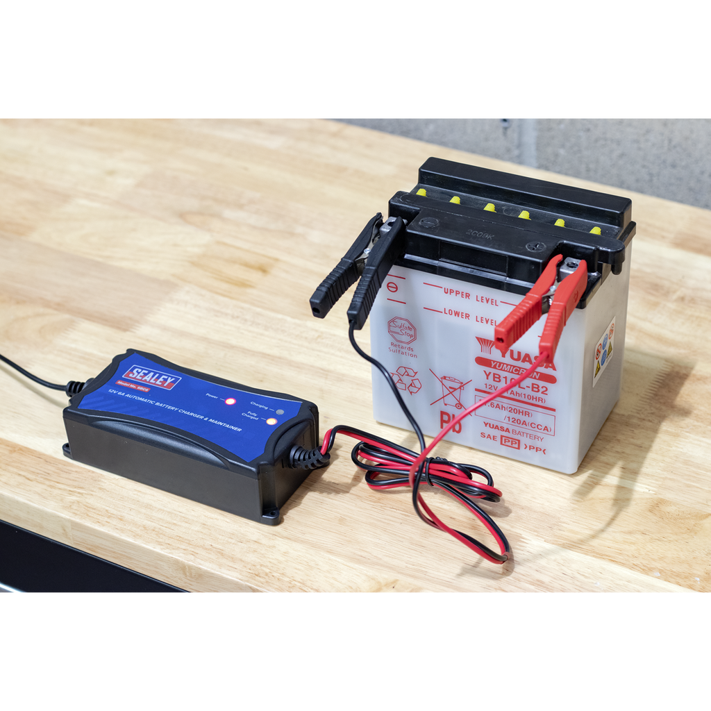 12V Fully Automatic Battery Charger/Maintainer, 6A (SBC6)