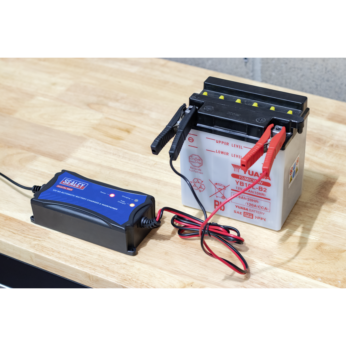 12V Fully Automatic Battery Charger/Maintainer, 6A (SBC6)