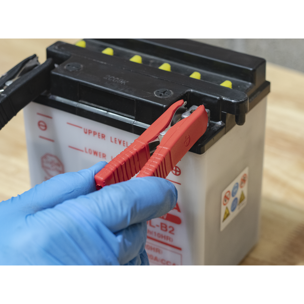 12V Fully Automatic Battery Charger/Maintainer, 6A (SBC6)