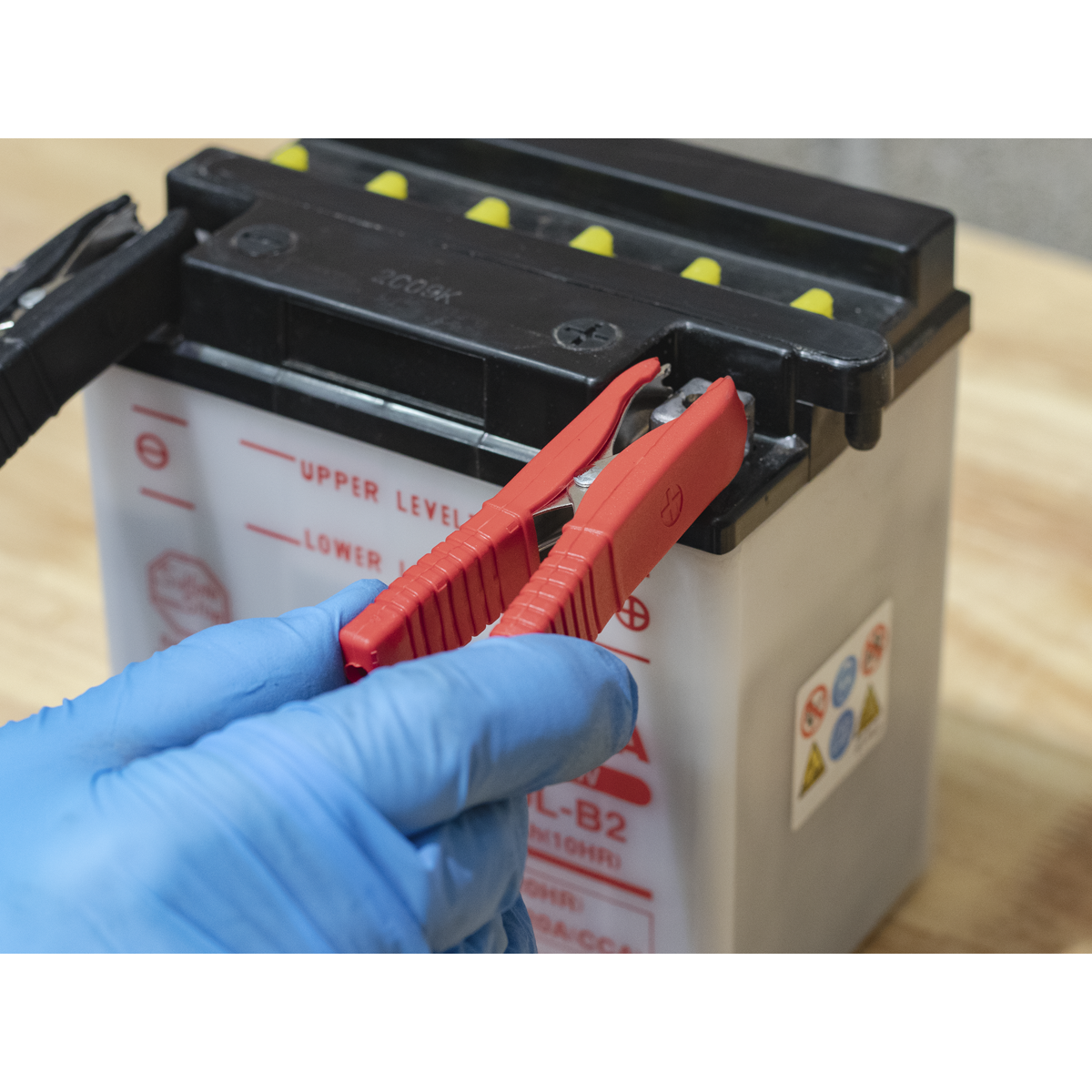 12V Fully Automatic Battery Charger/Maintainer, 6A (SBC6)