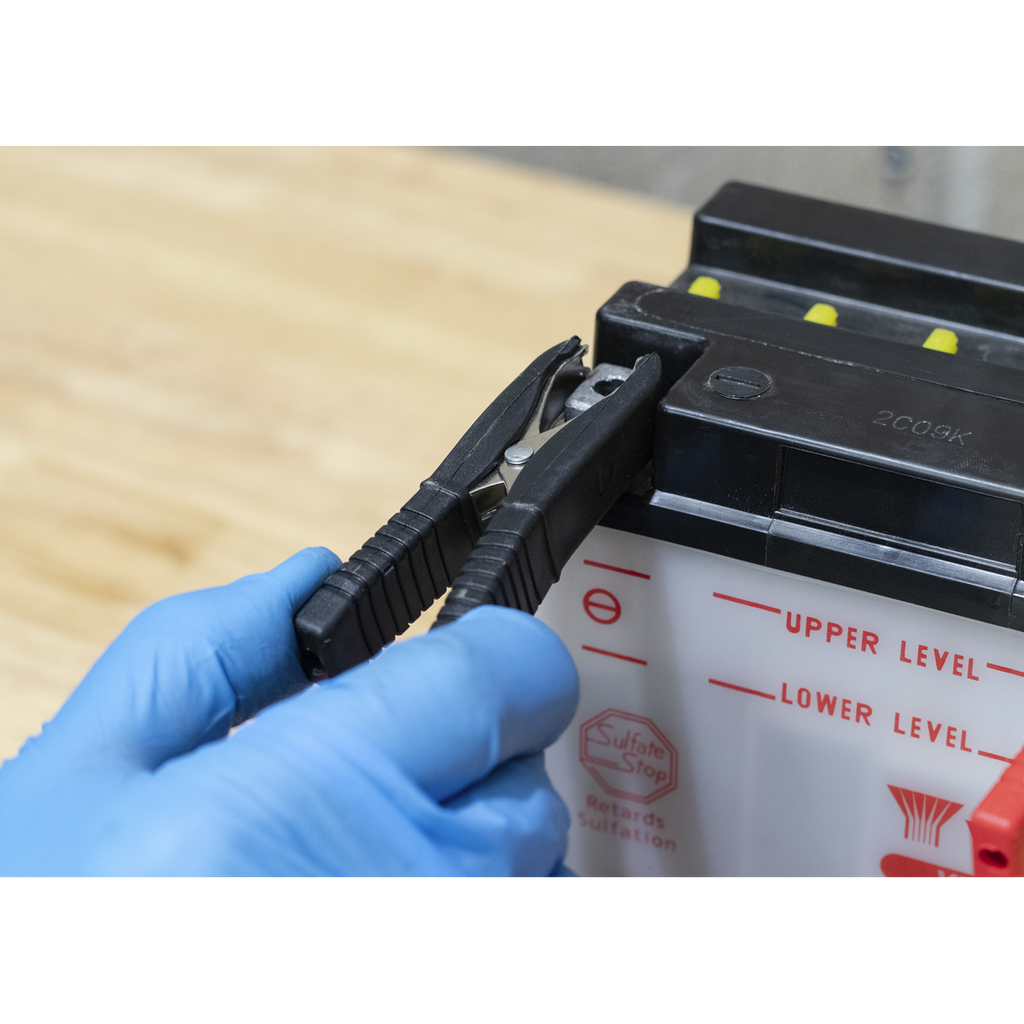 12V Fully Automatic Battery Charger/Maintainer, 6A (SBC6)