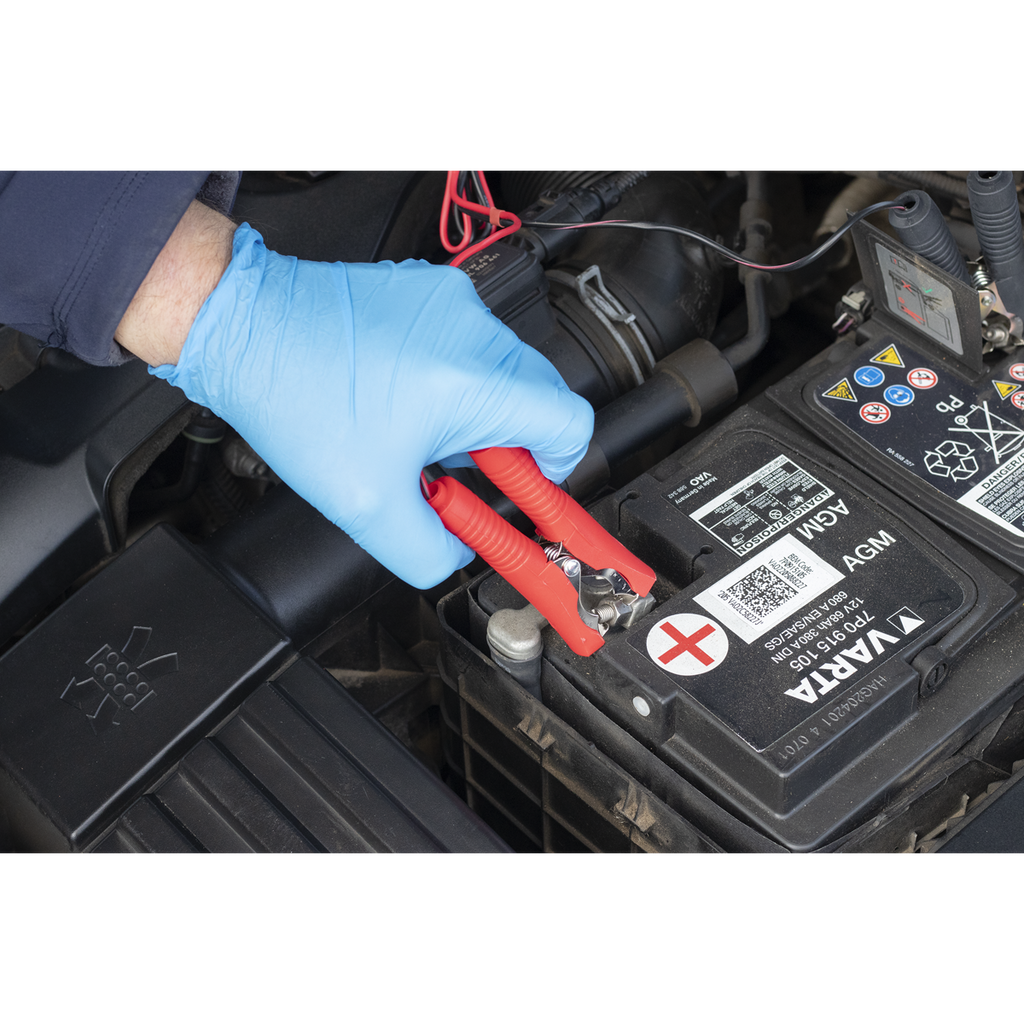 12V Fully Automatic Battery Charger/Maintainer, 8A (SBC8)