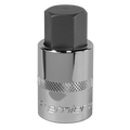 Premier Hex Socket Bit 1/2"Sq Drive 19mm