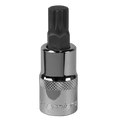 Premier Spline Socket Bit 1/2"Sq Drive M12