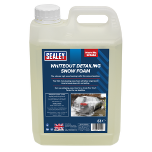 Pressure Washer with Snow Foam 170bar 450L/hr