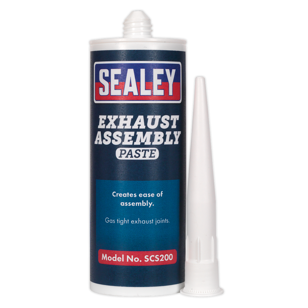 Exhaust Assembly Paste 300g
