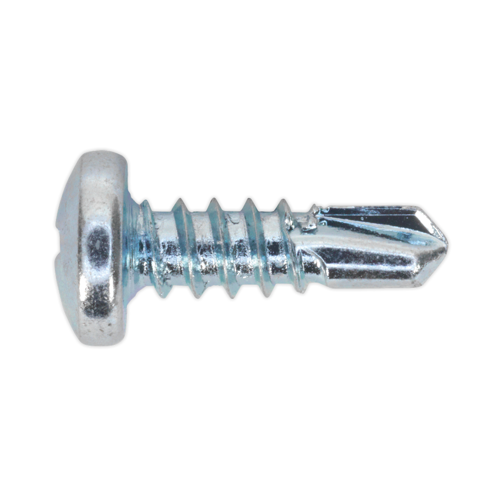 Zinc Plated Self-Drilling Pan Head Phillips Screw 4.2 x 13mm