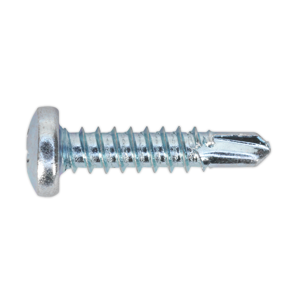 Zinc Plated Self-Drilling Pan Head Phillips Screw 4.2 x 19mm