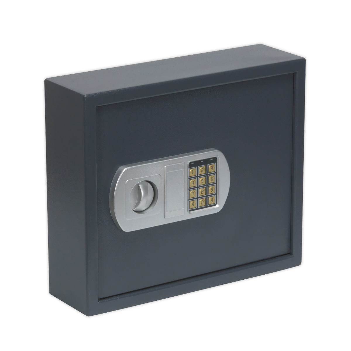 Electronic Key Cabinet 50 Key Capacity
